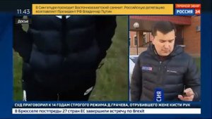 Грачева, отрубившего жене руки, приговорили к 14 годам строгого режима - Россия 24