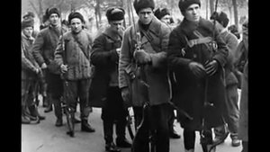 "В полях за Вислой сонной".