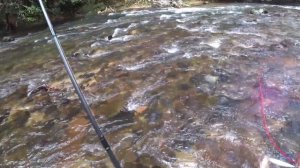 IMA PUGACHEV'S COBRA 90