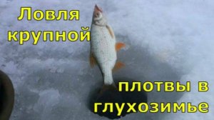 Ловля крупной плотвы в глухозимье .НОВИНКА!