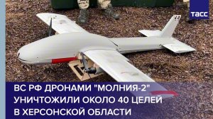 ВС РФ дронами "Молния-2" уничтожили около 40 целей в Херсонской области