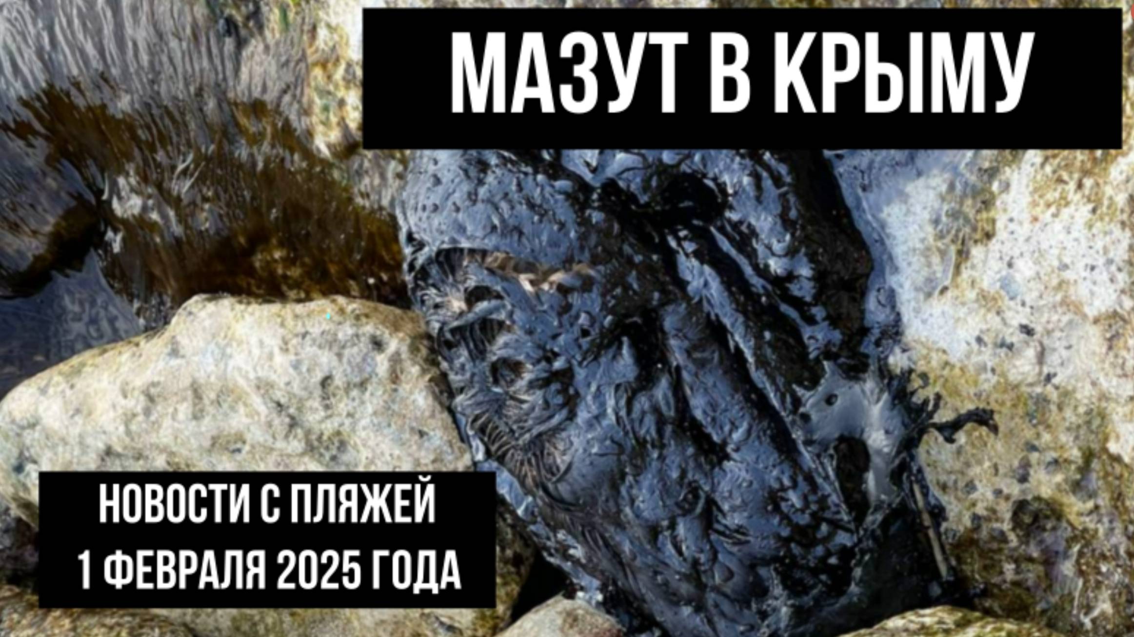 Мазут в Крыму, 1 февраля 2025 года, новости с пляжей