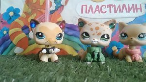 DIY:LPS"одежда для Lps"