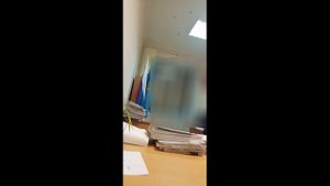 пьяный бык получил по заслугам