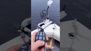 Haswing cayman problem.