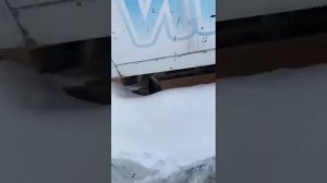 Капот газон Некст