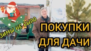 Покупки для дачи. Стремянка, шурупы и фонарик. 01.02.2025