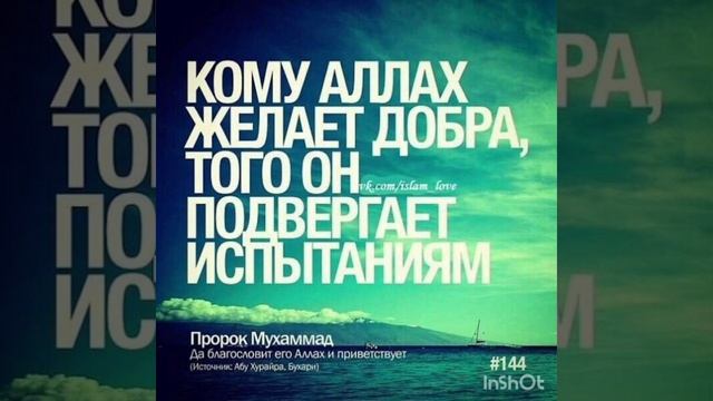 Невозможное возможно, Шамиль Аляутдинов, Лучшее для триллионера.