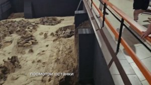 Костенки, стоянка древних людей, музей г.Воронеж #костенки #палеолит #мамонты  #музей #отдыхворонеж