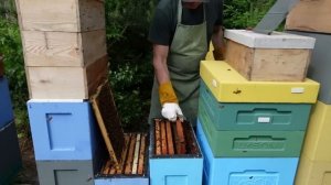 философия 6-ти рамочного улья 3