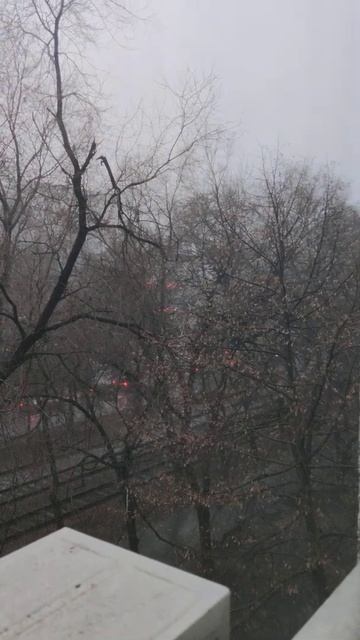 Алматы, Момышулы-Толеби, 05.01.22, 8 утра смотреть онлайн