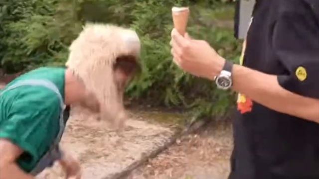 Серёга стал ребёнком на 24 часа смотреть онлайн