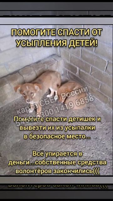 спасти из усыпалки