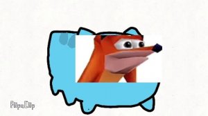 Котёнок капу тупой