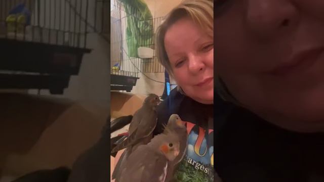 начинаем есть кашу😃птенцы карелла😃