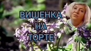 ВСЕ ДЕНЬГИ В УНИТАЗ. ЮЛЯ СТАР. ОБЗОР.