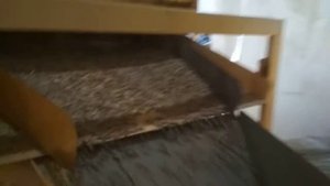 Гранула из соломы на выходе из охладительной колонны.