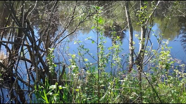 Б.Окуджава _ПОСЛЕ ДОЖДИЧКА НЕБЕСА ПРОСТОРНЕЙ..._ исп. Олег Погудин.mp4 смотреть онлайн