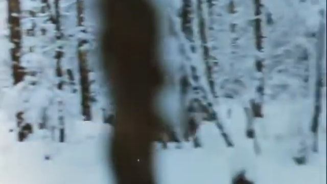Друг Тыманчи 1970