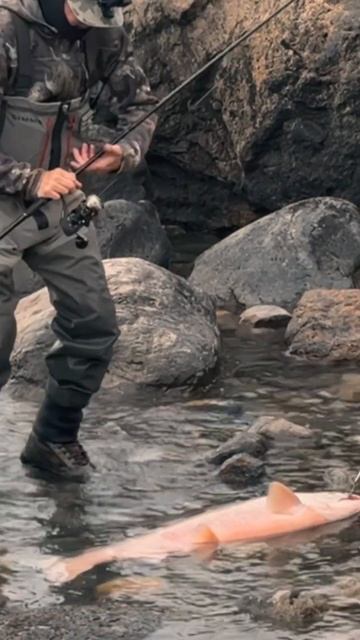 Советы по рыбалке в Патагонии 4/4#fishing #рыбалка #рыбалкасгидом #авторскиетуры #рекомендации #я