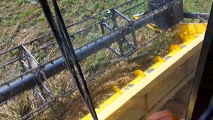 Убираем полёглый овёс New Holland CX-8080