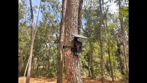 Setup and Demo - SEHMUA Solar 4G LTE Cellular Trail Cameras