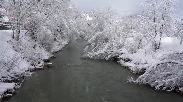Плейлист Моцарта Моцарт для учебы и концентрации – классическая музыка для отдыха 🎧🎧 смотреть онлайн