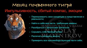 Прогноз на месяц почвенного тигра (февраль 2025)