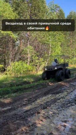 Выпустили зверя на обкатку #бездорожье #охота #offroad #болотоход #вездеход #рыбалка #грязь