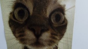 необычный способ победы в пвз