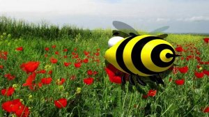 Фотопейзажи Кабардино-Балкарии(Часть первая)