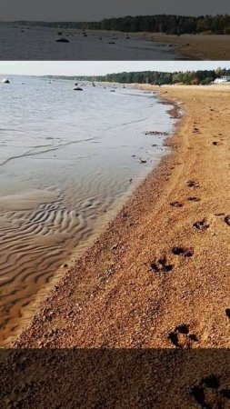 Город Зеленогорск, Курортный район  Санкт-Петербурга