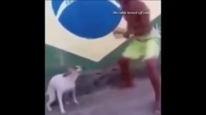 Dance till your dead(1 hour)