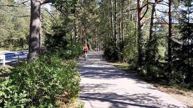 Город Зеленогорск Курортного района Санкт-Петербурга смотреть онлайн