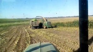 Заготівля силоса