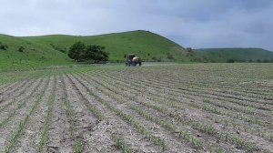 Трактор МТЗ-892 + опрыскиватель ОП-2000-18. Опрыскивание кукурузы гербицидом