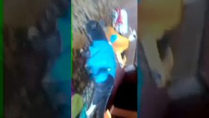 Издевательство над котом