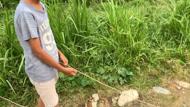 Proses Penebaran 1000 Bibit Ikan Gurame Bersama Para Bocil Rusuh [Nisfibany Vlog]