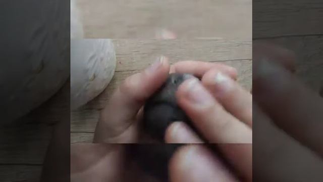 Как быстро и легко приручить хомяка (за 5 мин.)