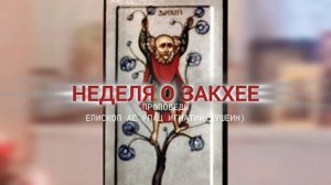 Закхей: мимо Маркса и Фрейда. Проповедь епископа АС РПАЦ Игнатия (Душеина)