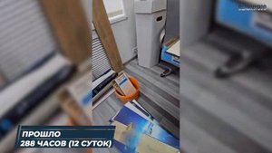 Тест водостойкого ламината BlackWood