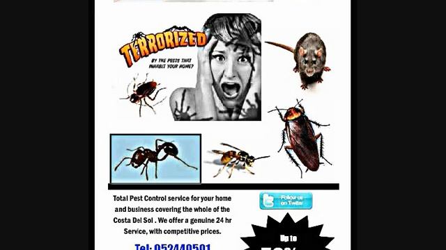 Pest control Riviera del sol