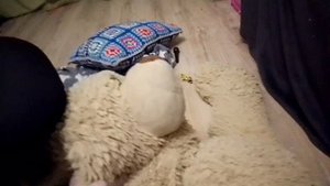 три друга (1серия)