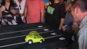 Гонки хомяков