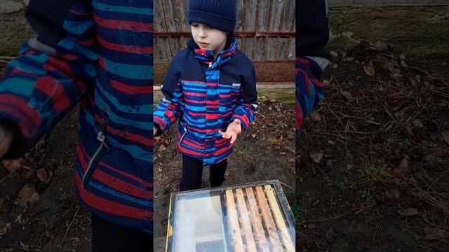 Пчелы зимовка 2025 2 февраля смотреть онлайн