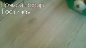Воскресное время первый канал от кота Тома и Бена 15:00