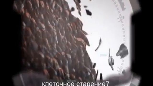 Такого Вы еще не видели  Финити   омоложение на клеточном уровне  Волшебство или реальность