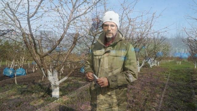 Препараты в саду