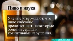 13 фактов о пиве для любителей этого напитка