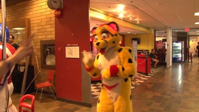 Cos & Effect 2013 | Pictures With Kheetah - 37 смотреть онлайн